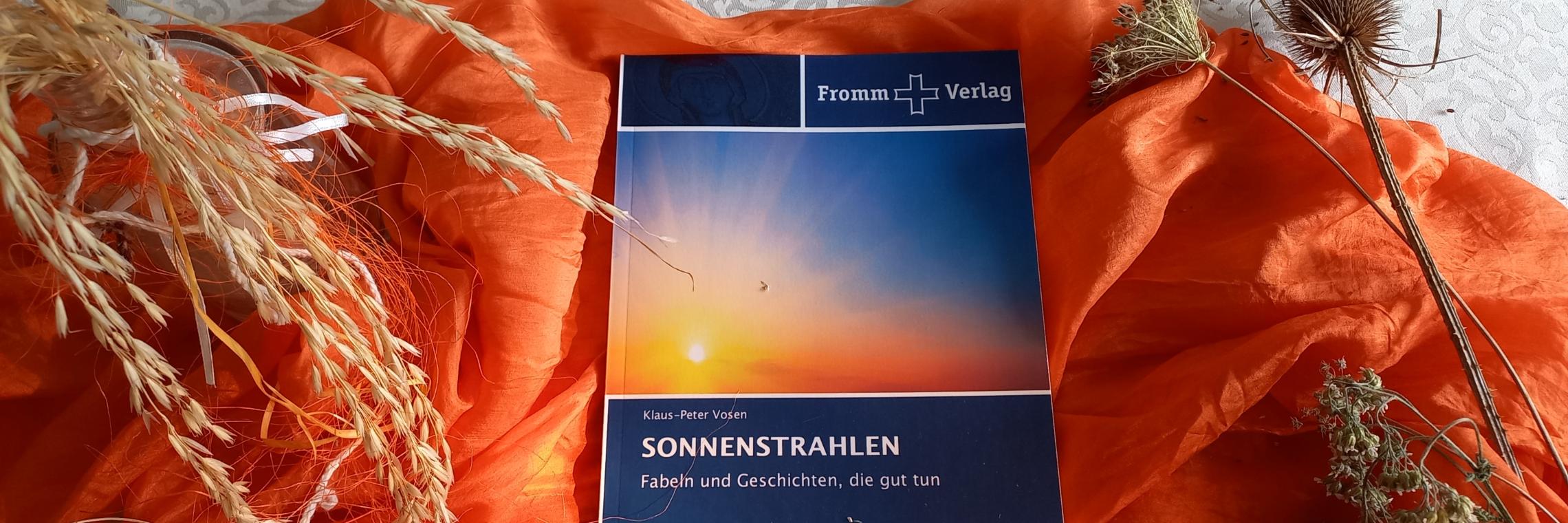 Buch-Sonnenstrahlen